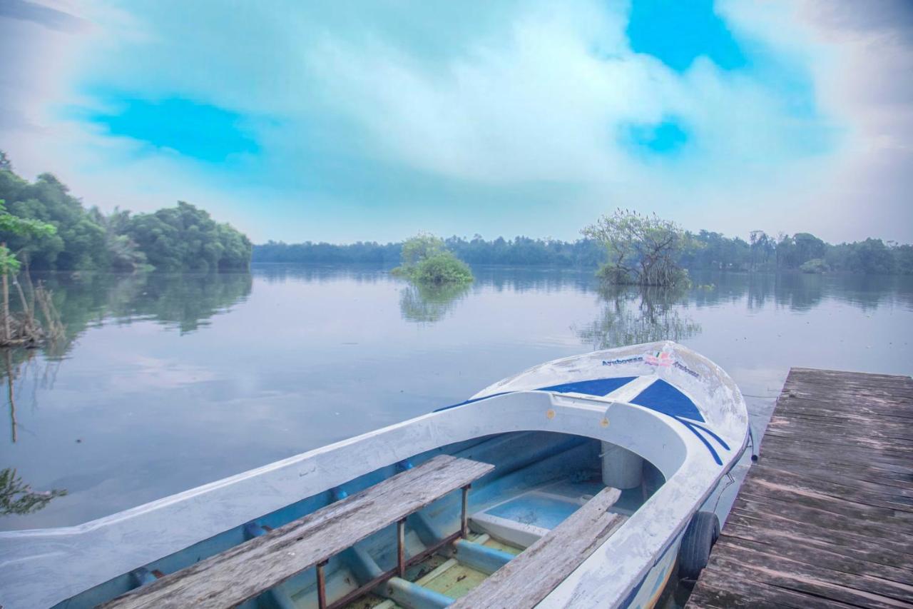 Bentota River Villa エクステリア 写真